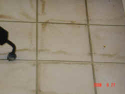 Tile & Grout Cleaning