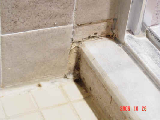 Shower floor - before