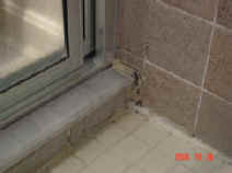 DSC08800.JPG (149879 bytes)