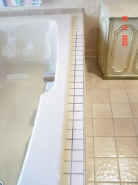 DSC08803.JPG (31415 bytes)