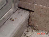 DSC08810.JPG (145370 bytes)