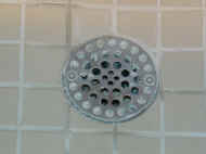 Shower Drain -During