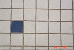 1a.jpg (24828 bytes)