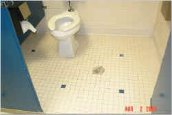 2a.jpg (25949 bytes)