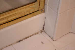 IMG_0498.jpg (810924 bytes)