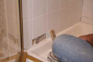 IMG_0501.jpg (879086 bytes)