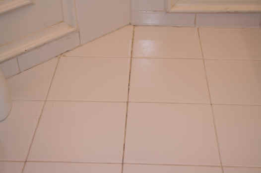 IMG_0502.jpg (730531 bytes)