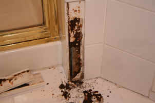 IMG_0514.jpg (904342 bytes)