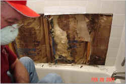 before01.jpg (29348 bytes)