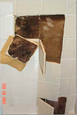 loose tiles.jpg (16209 bytes)