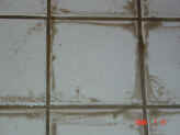 tile & grout cleaning