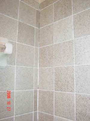 wpe4A.jpg (27193 bytes)